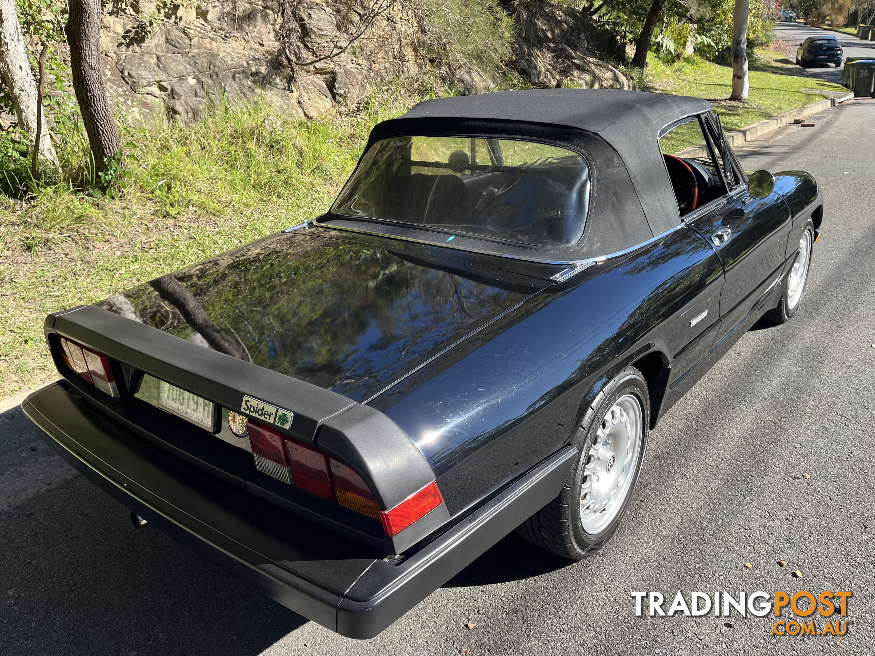 1983 Alfa Spider