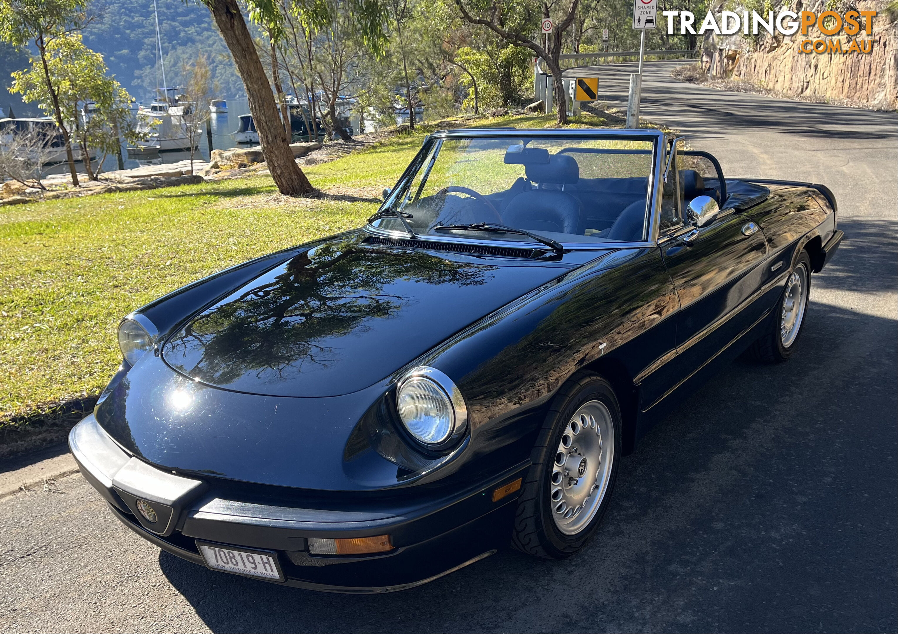 1983 Alfa Spider