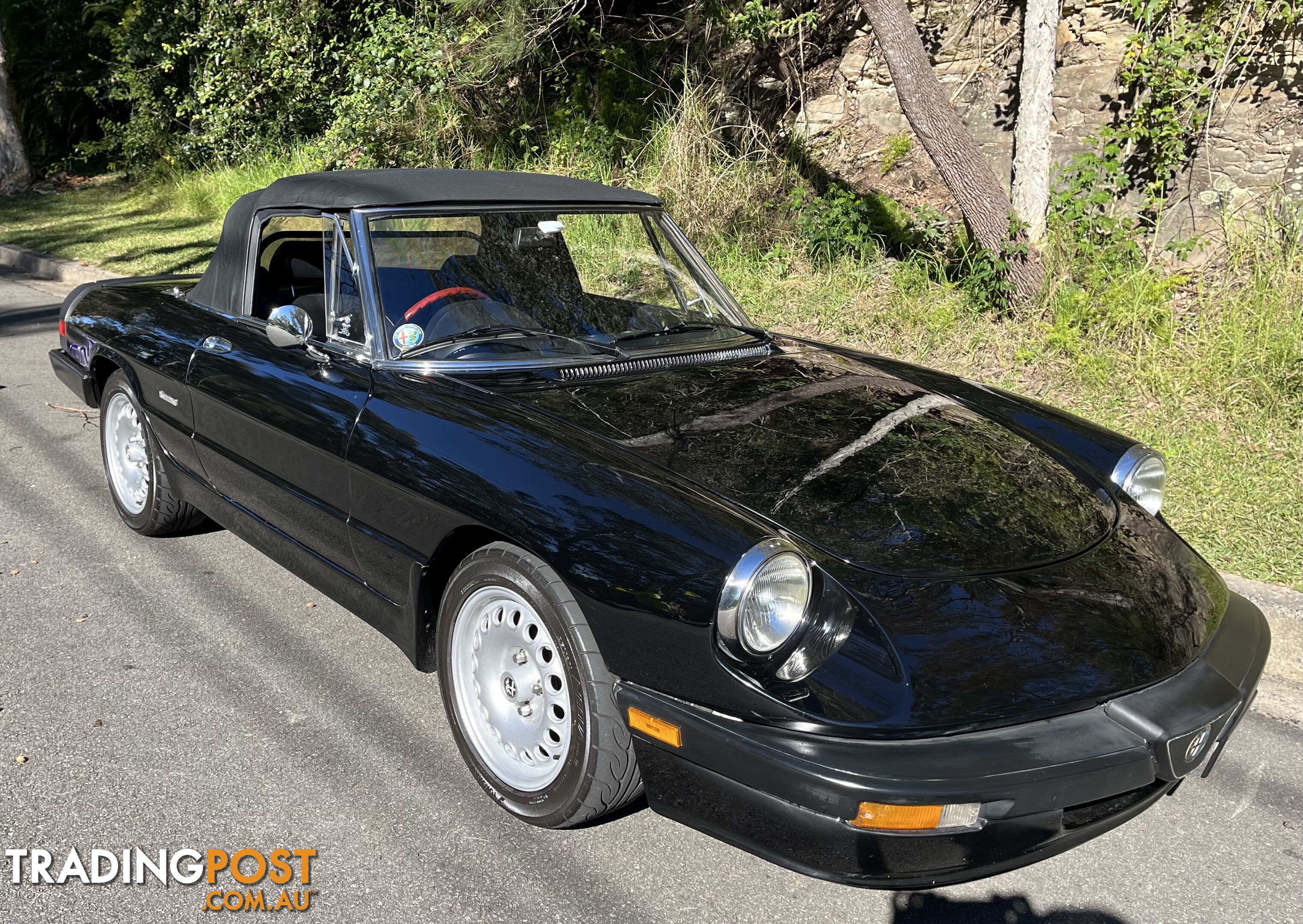 1983 Alfa Spider