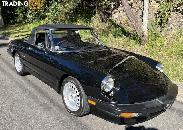 1983 Alfa Spider