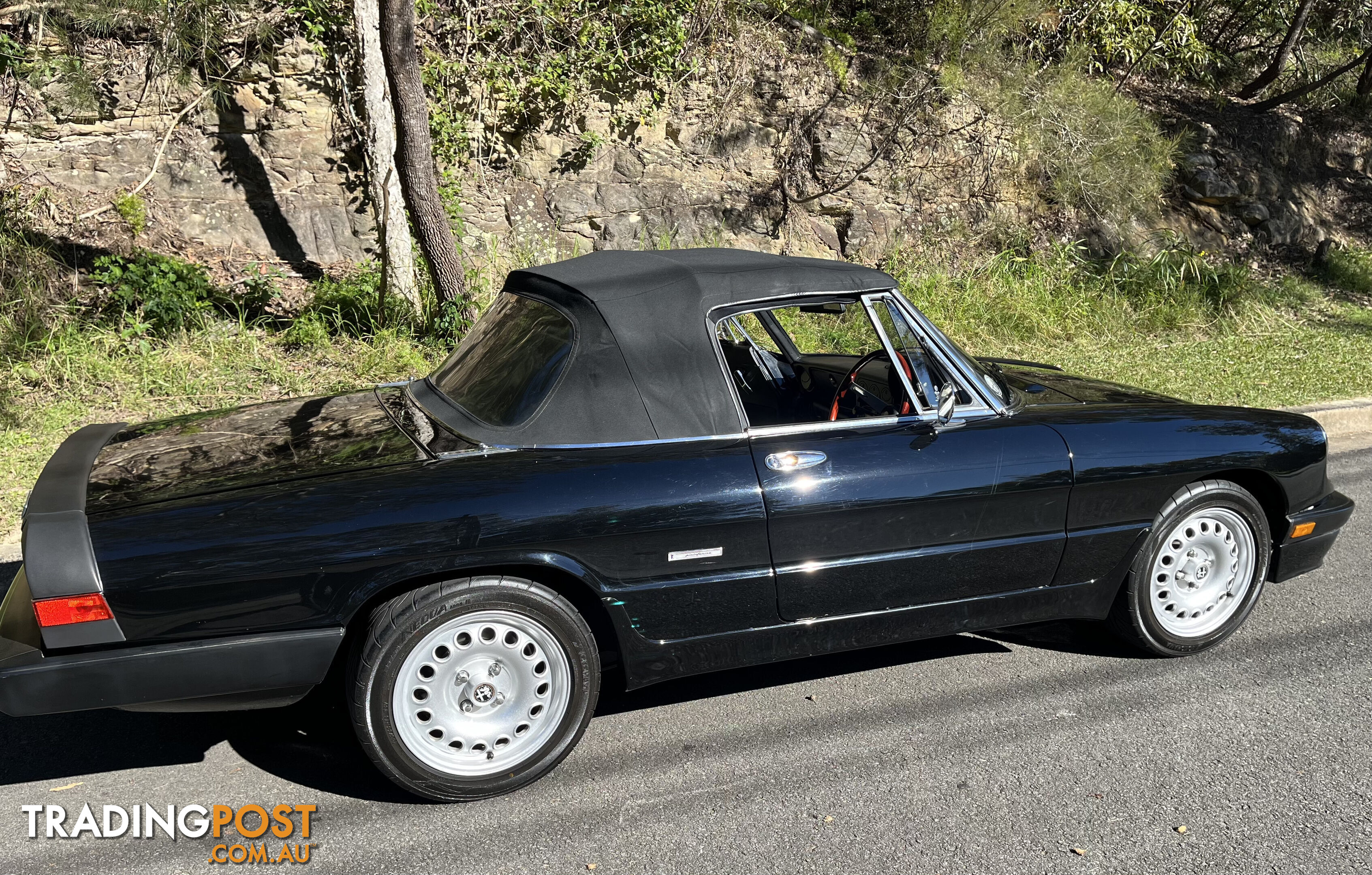 1983 Alfa Spider