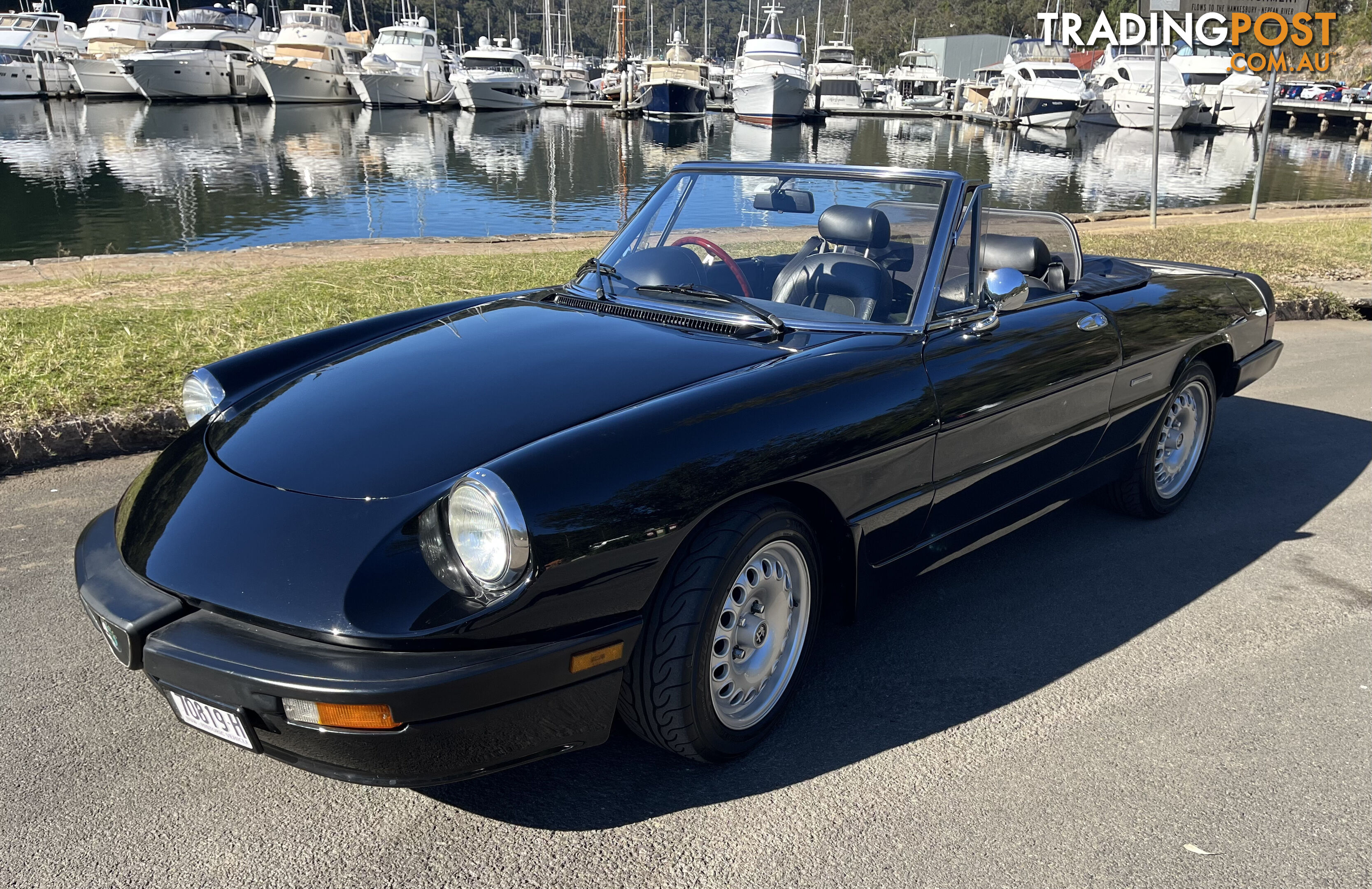 1983 Alfa Spider