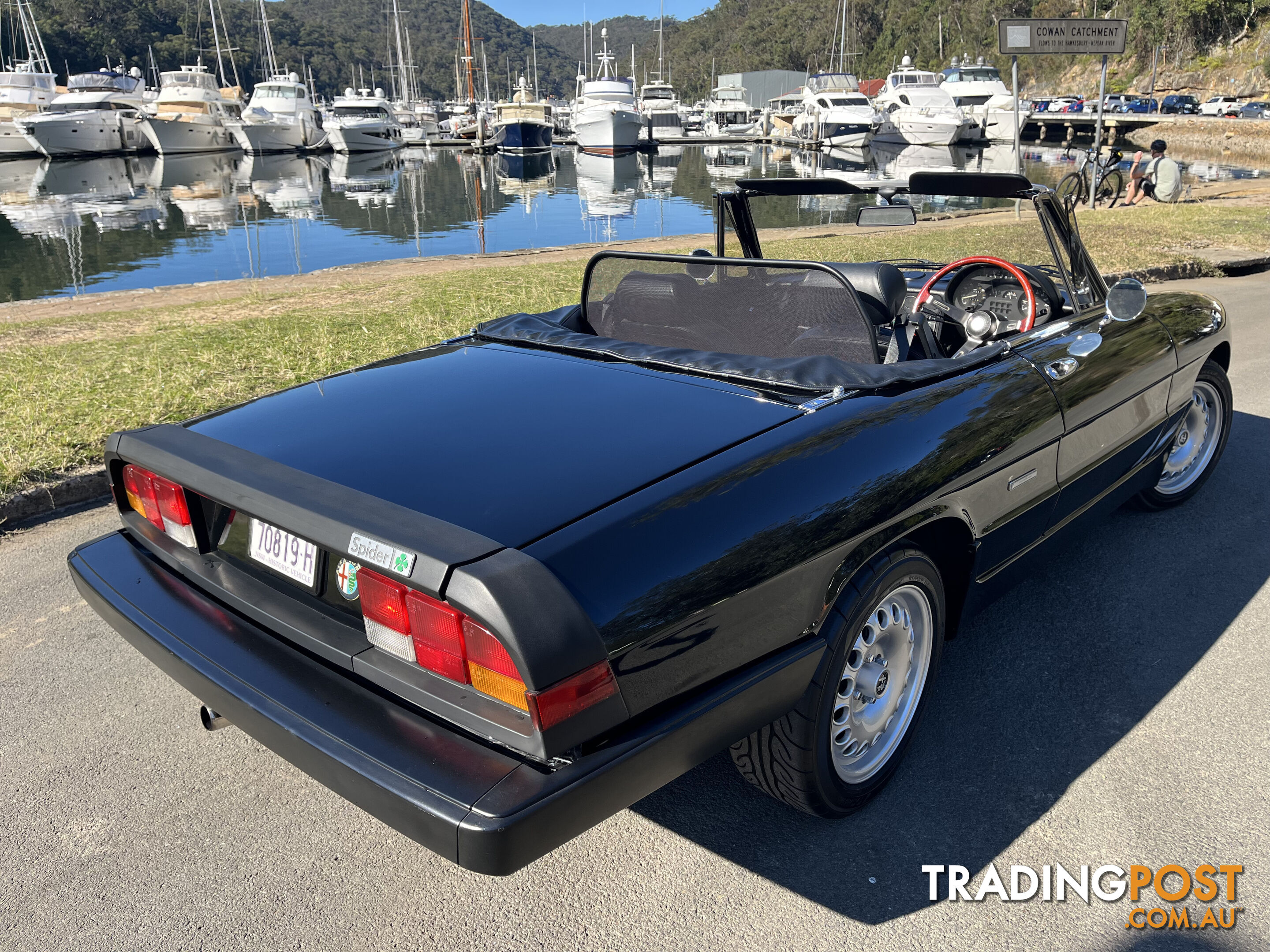 1983 Alfa Spider