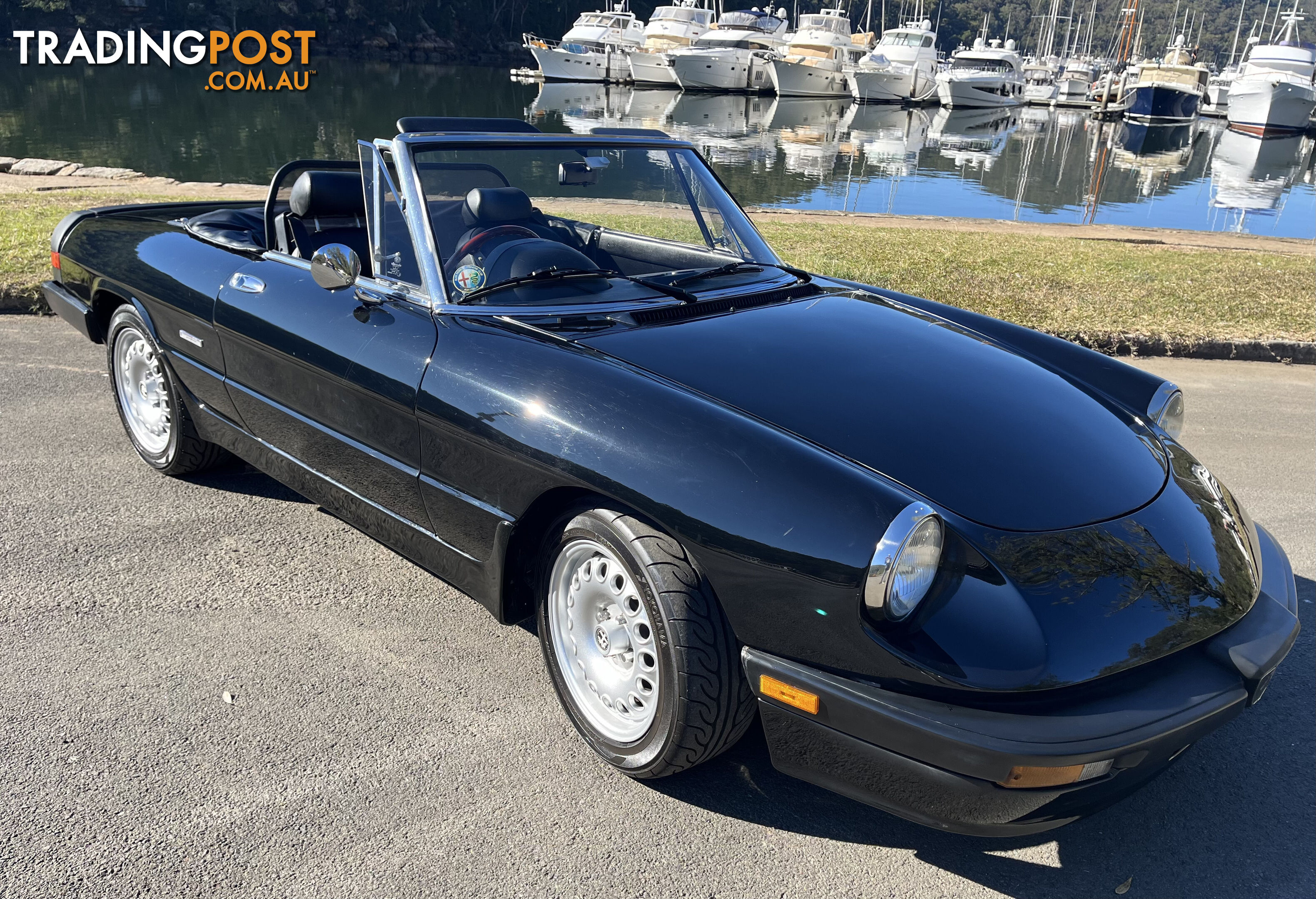 1983 Alfa Spider