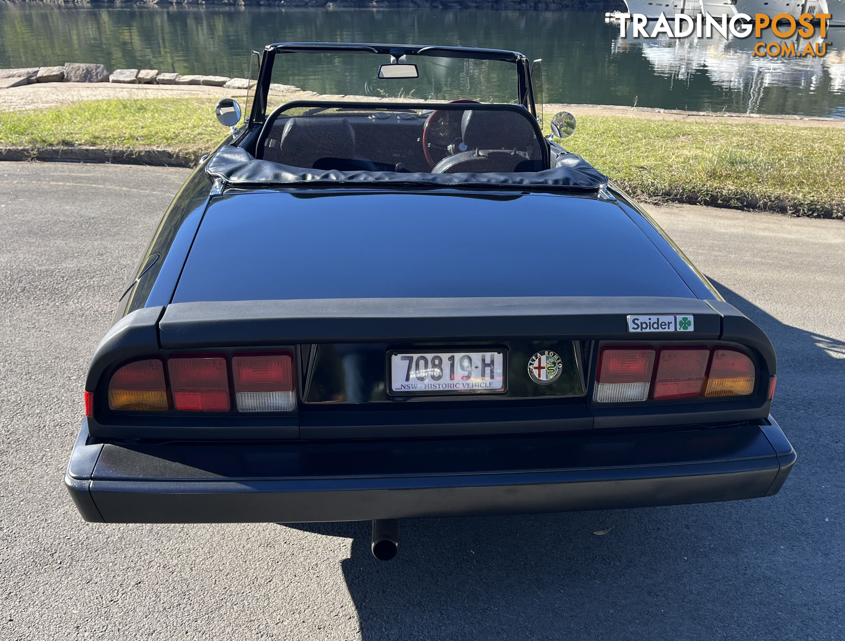 1983 Alfa Spider