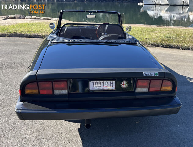 1983 Alfa Spider