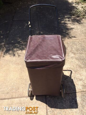 Vintage Granny Trolley - great condition