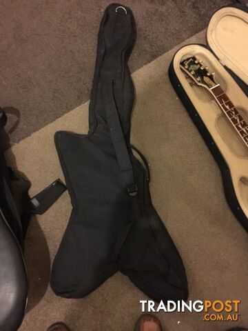 Ashton Guitar case / brand new