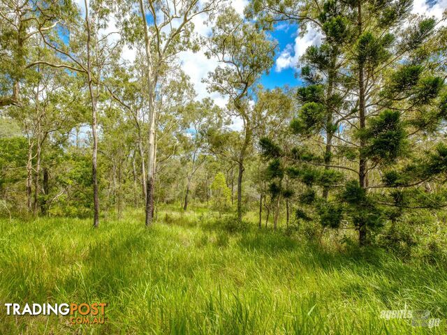 270 Burgess Road CALICO CREEK QLD 4570