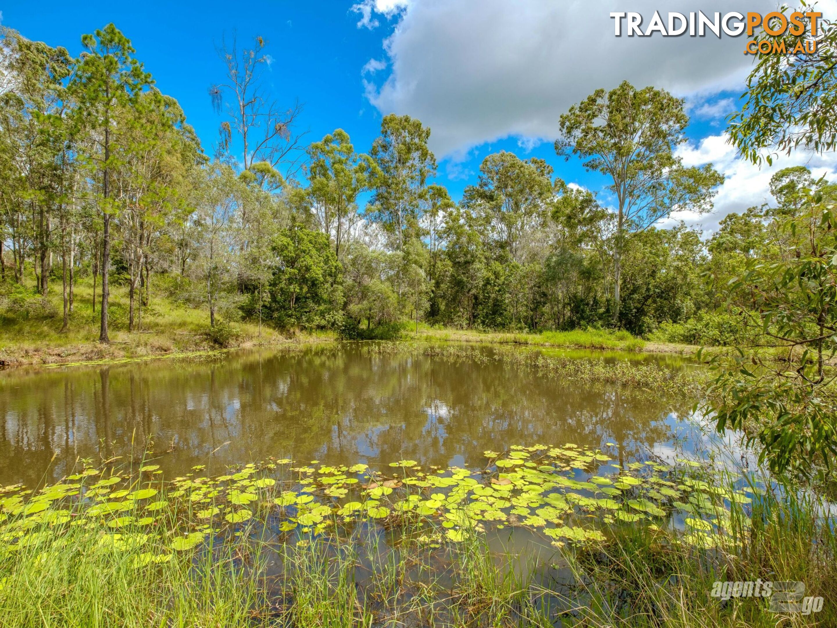 270 Burgess Road CALICO CREEK QLD 4570