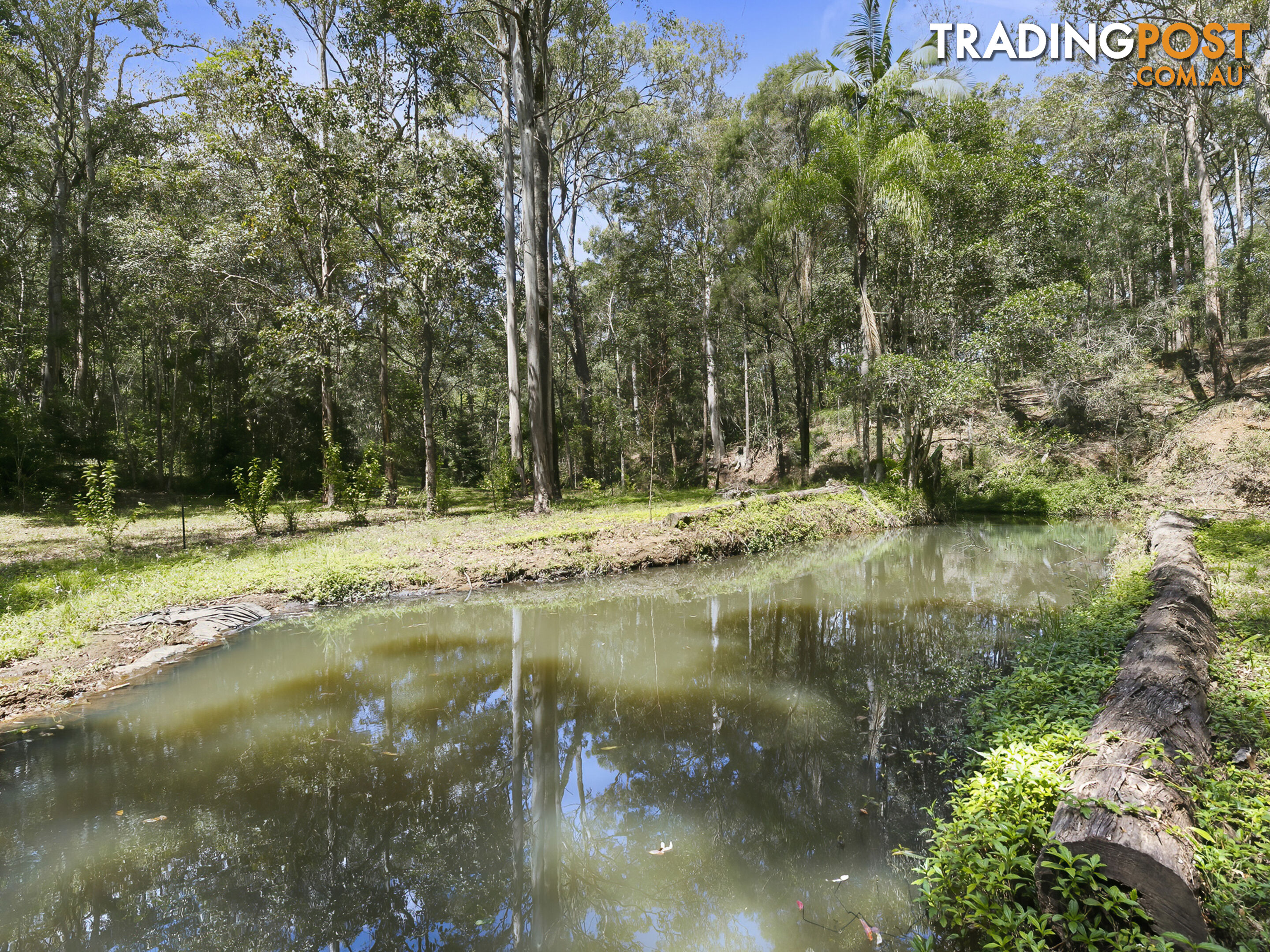 9 Alloa Ct Curra QLD 4570