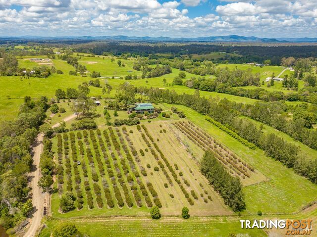 151 Tatnell Road North Deep Creek QLD 4570