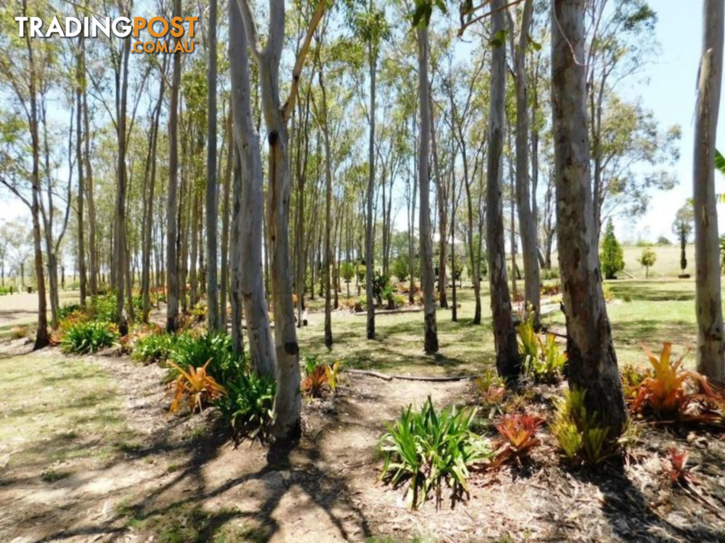 212 Scotts Lane RUNNYMEDE QLD 4615