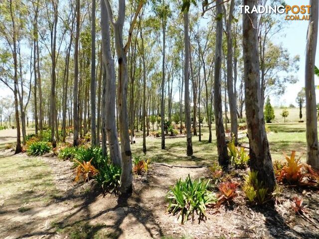 212 Scotts Lane RUNNYMEDE QLD 4615