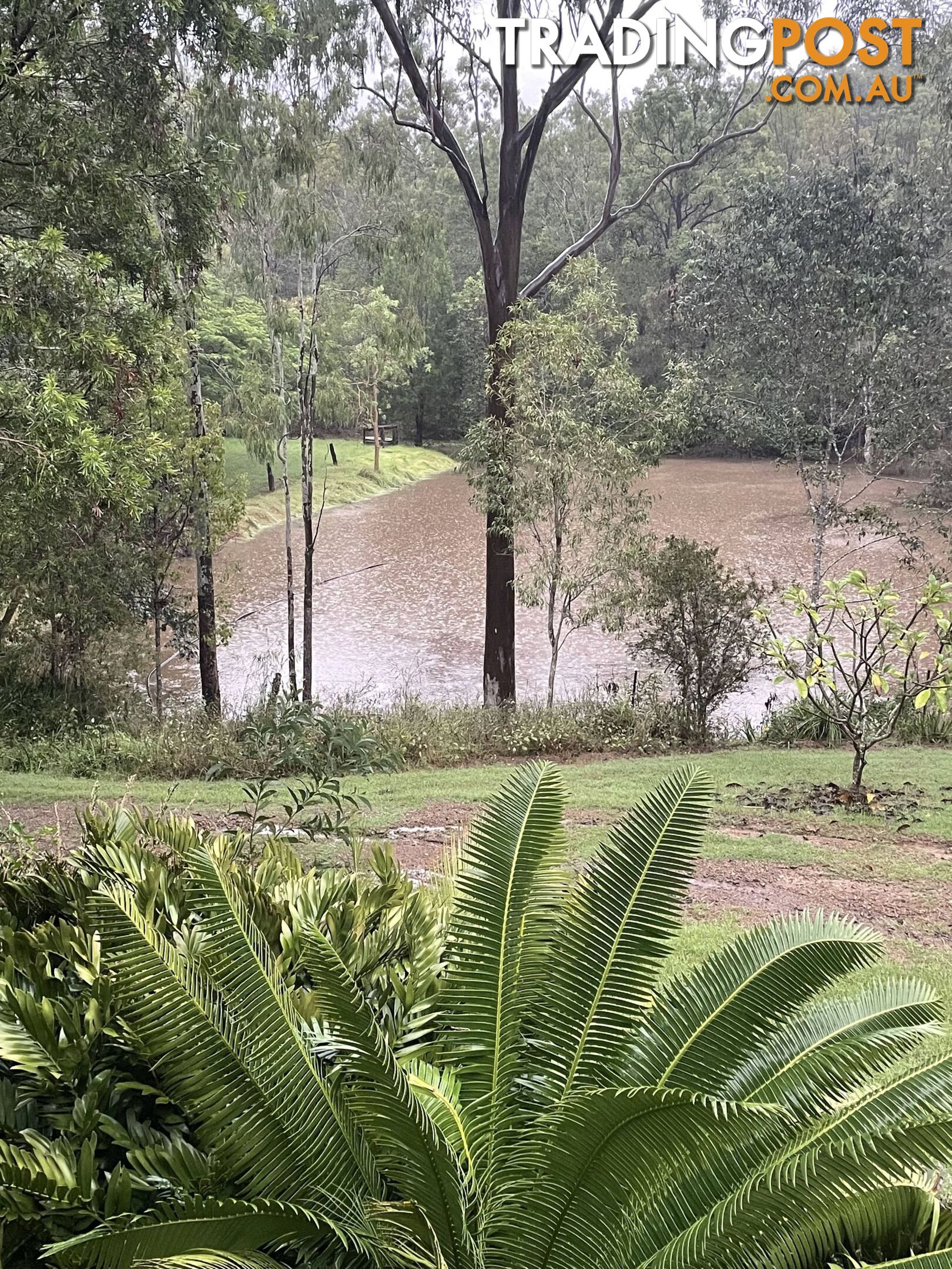 1438 Tableland Road HORSE CAMP QLD 4671