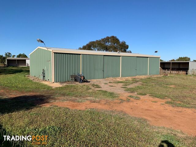 257 Giles Road Moonyoonooka WA 6532