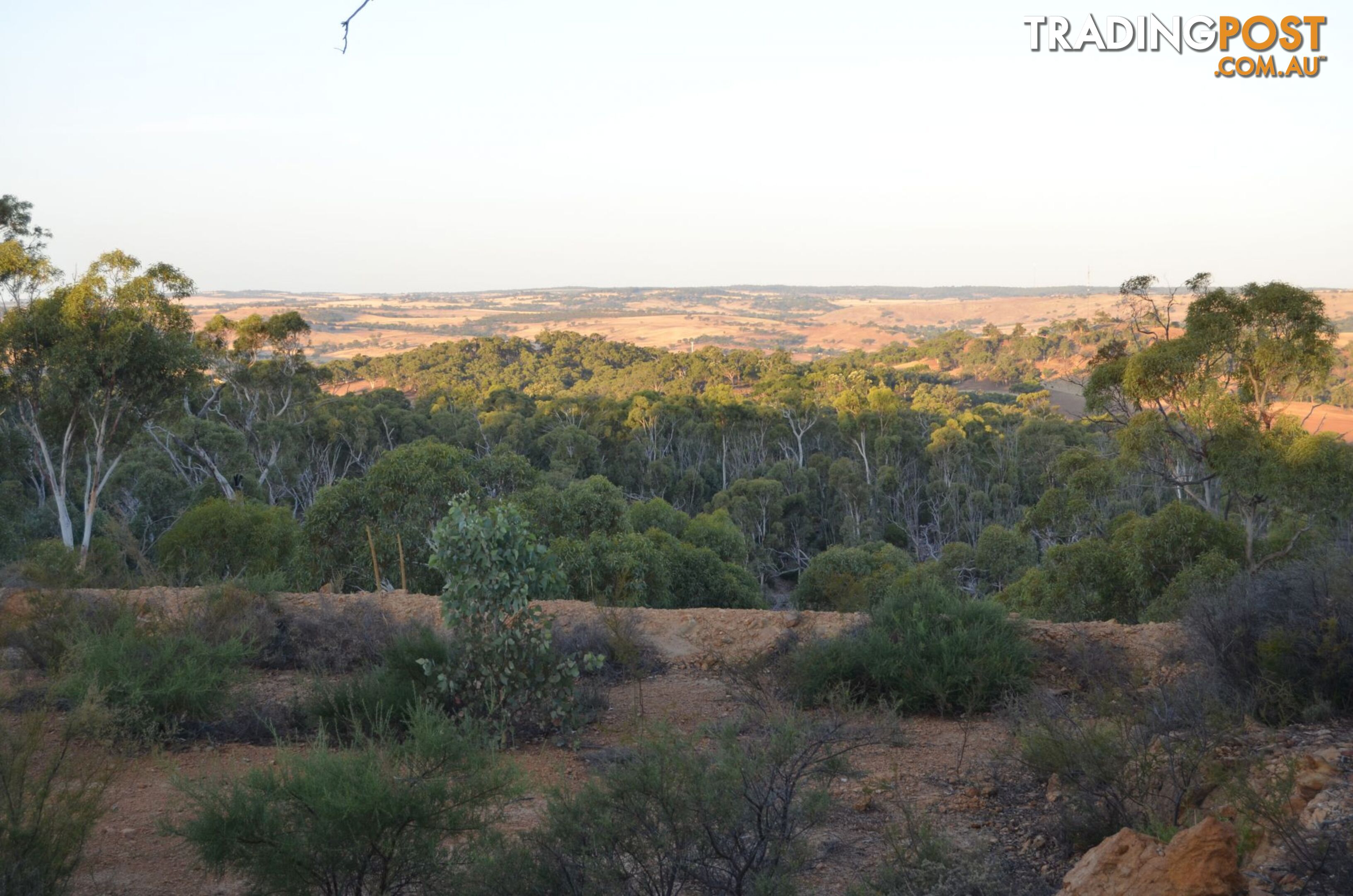 60 Sesselis Road Toodyay WA 6566