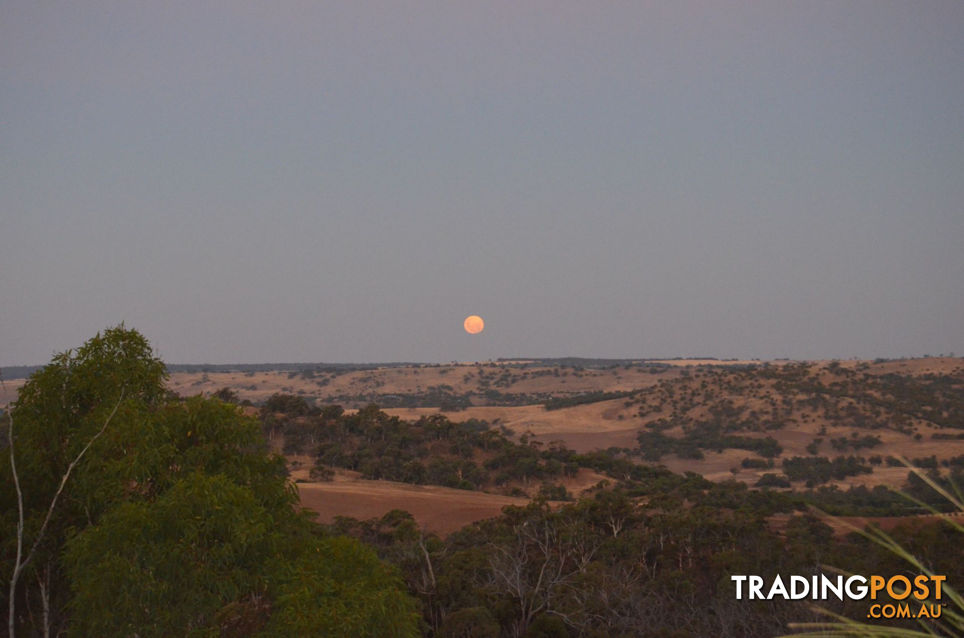 60 Sesselis Road Toodyay WA 6566