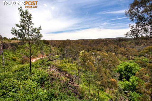 239 Hepburn Newstead Road Elevated Plains VIC 3461