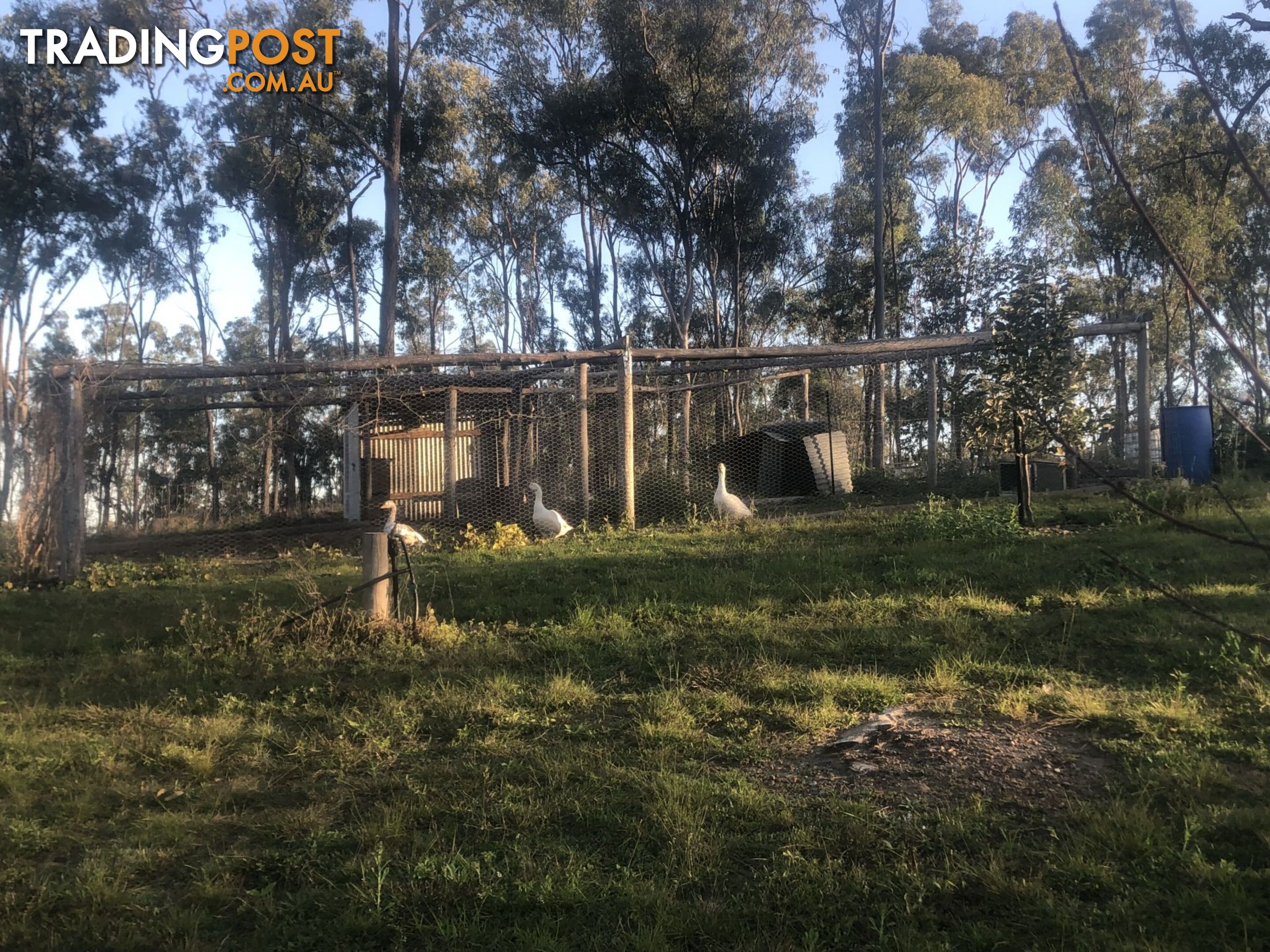 211 H H Innes road Horse Camp QLD 4671