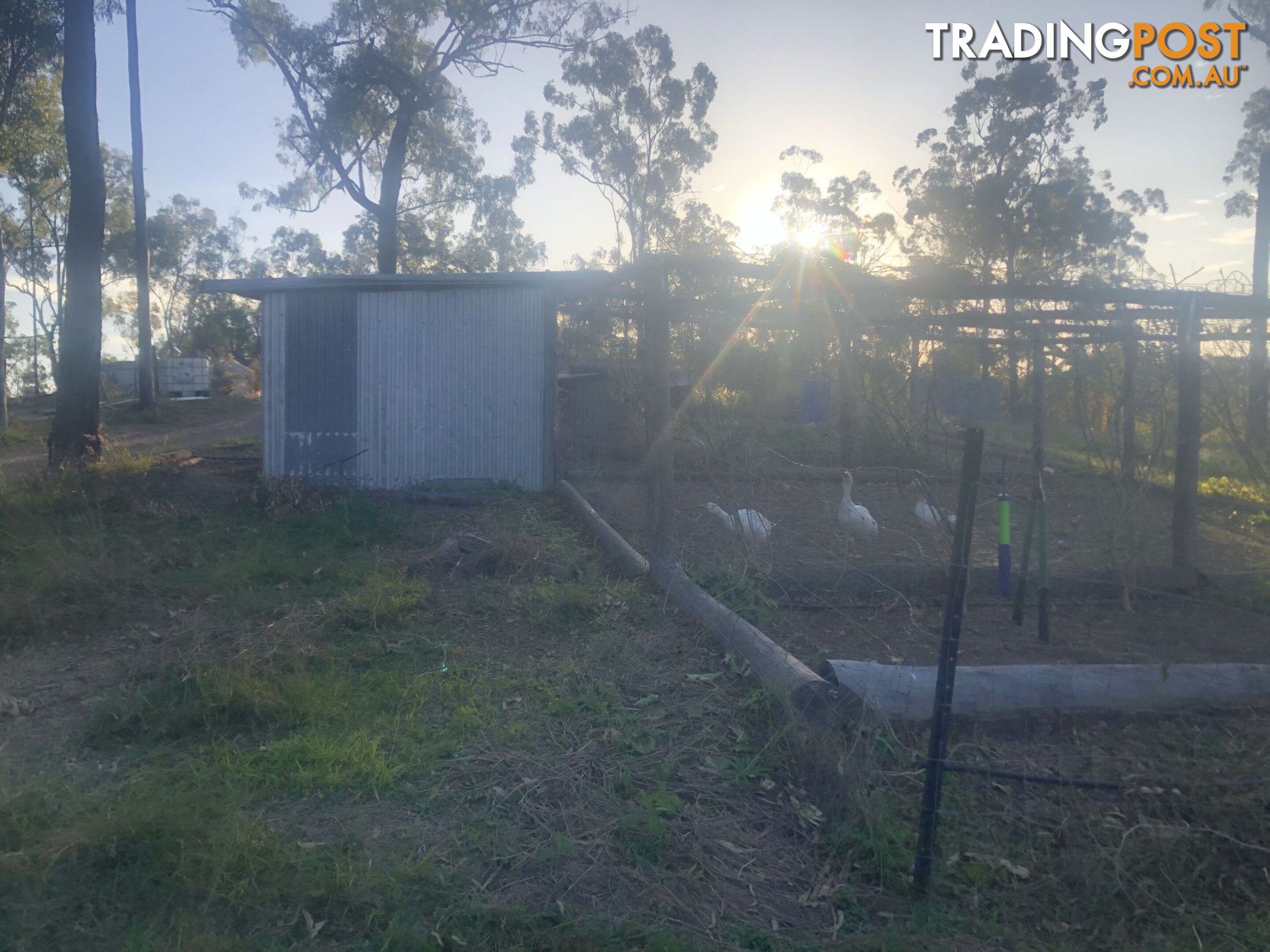 211 H H Innes road Horse Camp QLD 4671