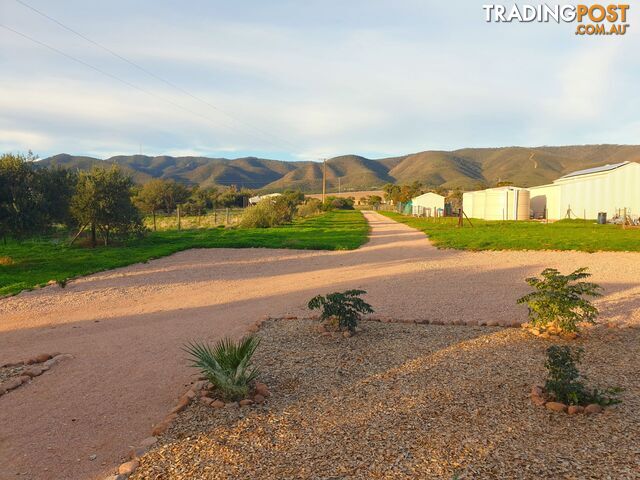 249 Scenic Drive Nelshaby SA 5540