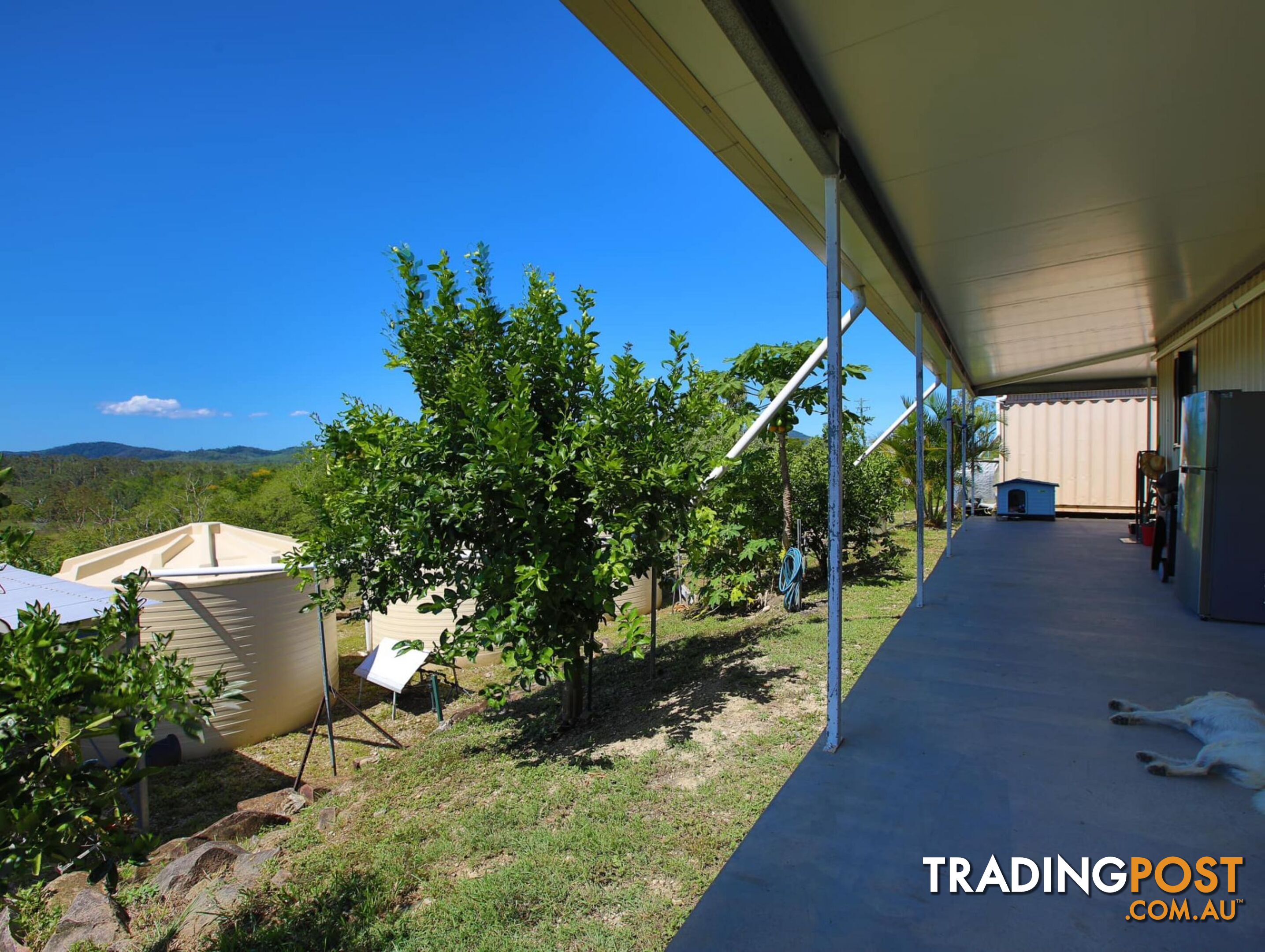 167 Lindeman Drive Bloomsbury QLD 4799