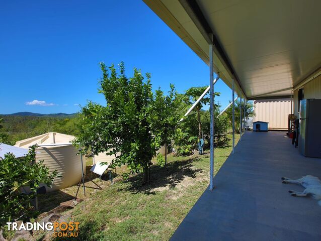 167 Lindeman Drive Bloomsbury QLD 4799