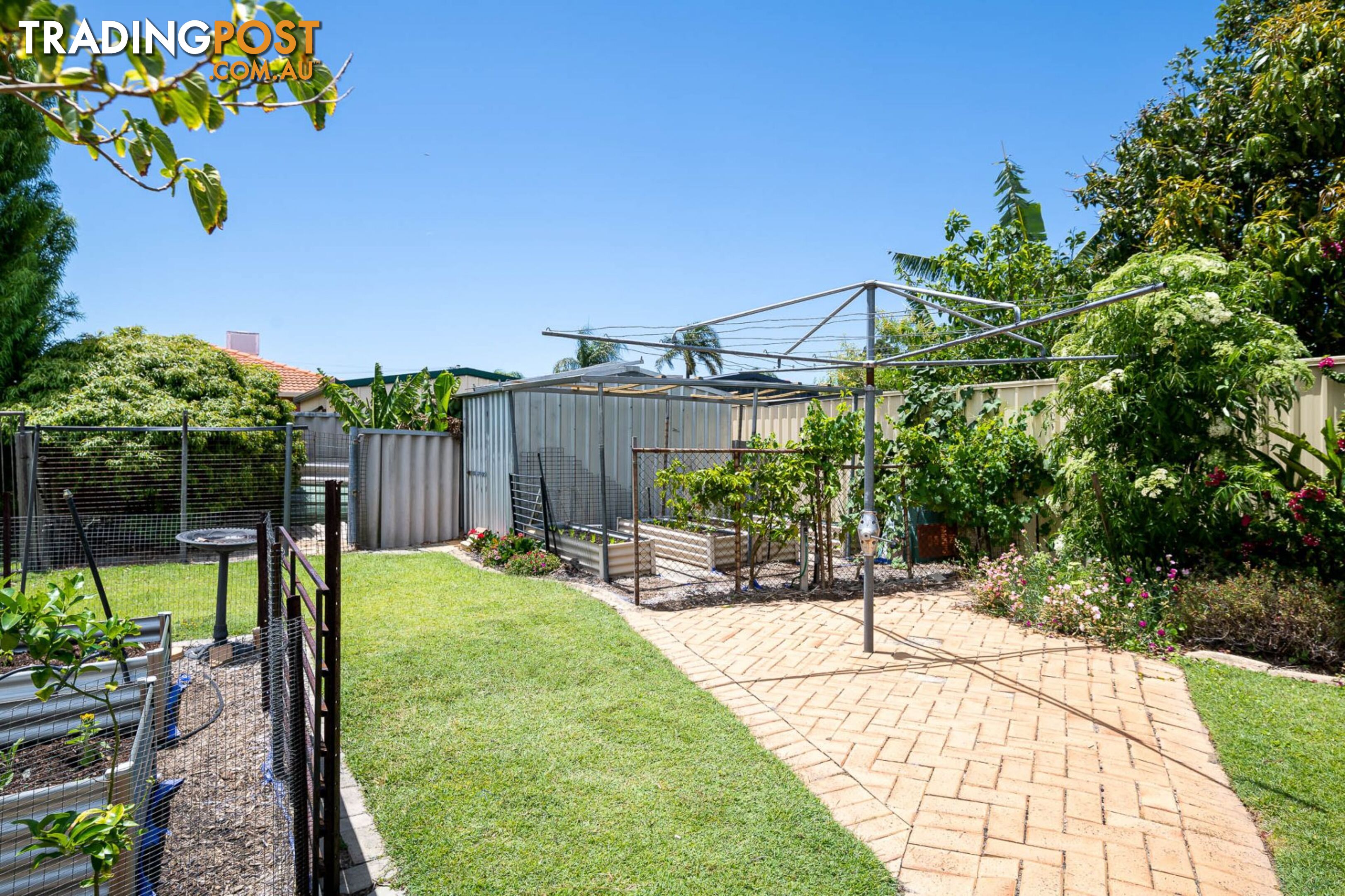 18 Lemon Grove Seville Grove WA 6112