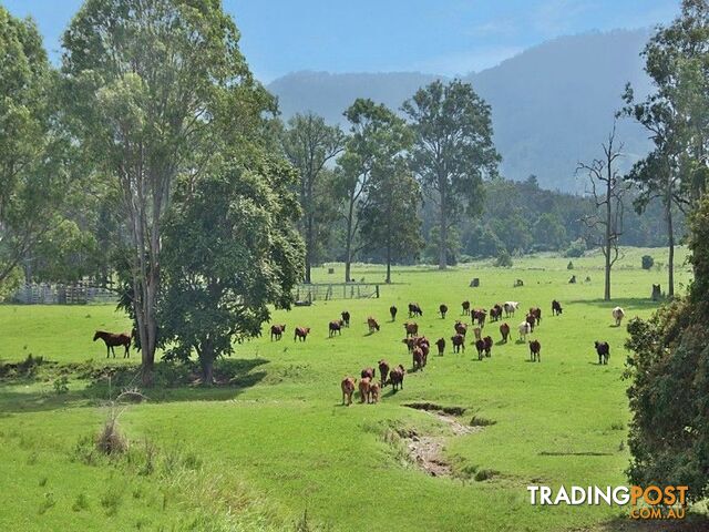 Cambroon QLD 4552