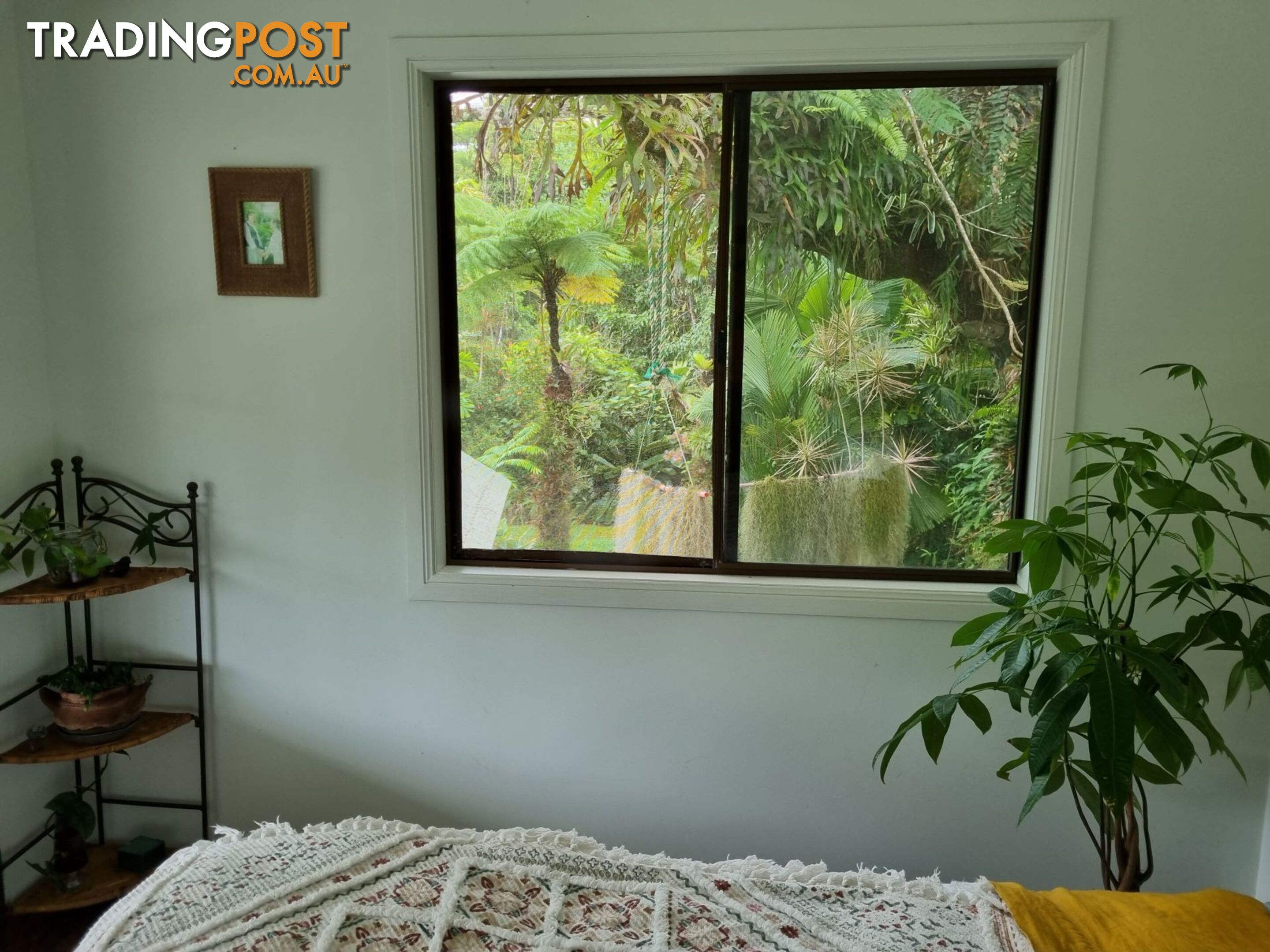 582 Bingil bay rd Bingil bay QLD 4852