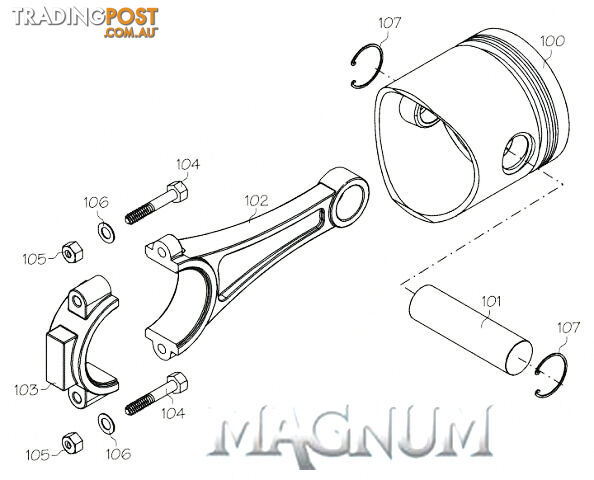 120120-6 (MAGNUM ENGINE PART) MUFFLER SCREW XL120 6PCS