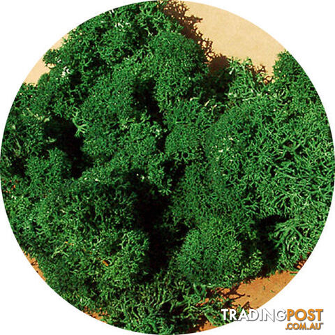 HEKI LICHEN SMALL DARK GREEN 30GM AI83211 TRAIN ACCESSORIES - HEKI