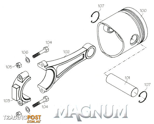 9832 (MAGNUM ENGINE PART) ROTOR GUIDE SCREW & SPRING