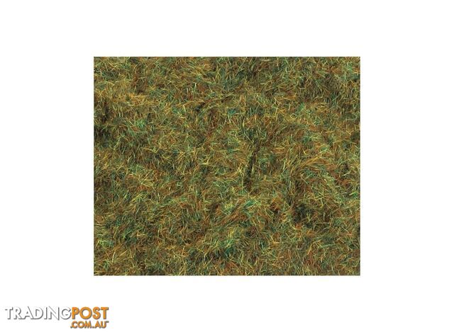 PECO 2MM AUTUMN GRASS FIBRE 100GM AIPPSG223 - PECO