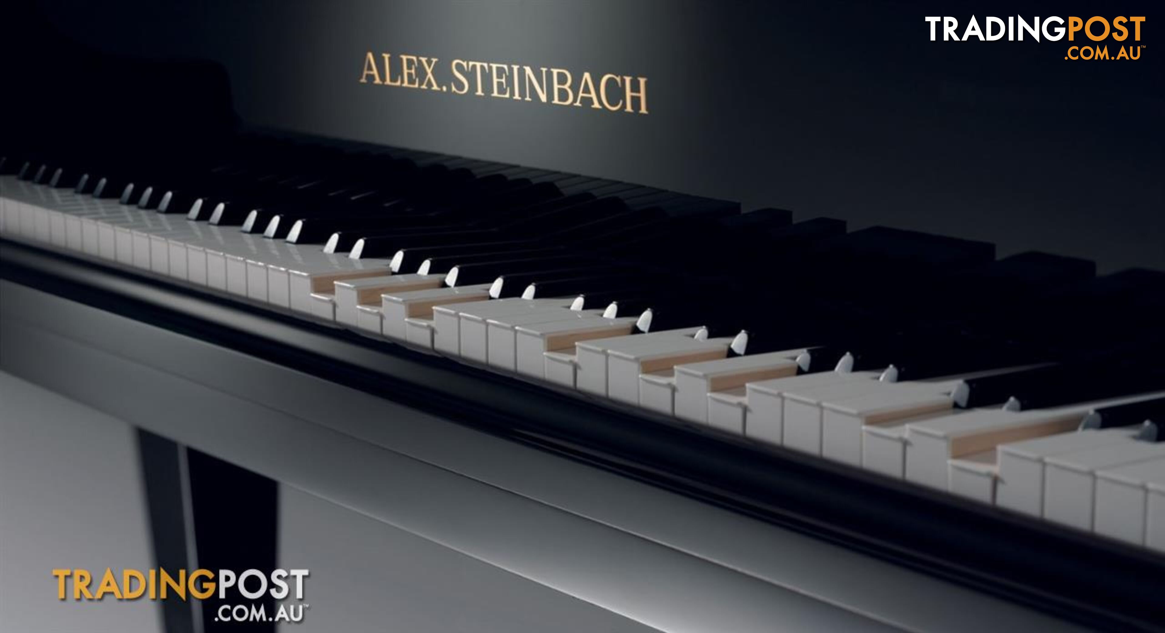 Alex.Steinbach Regal II  AS175D  iQ Grand Piano