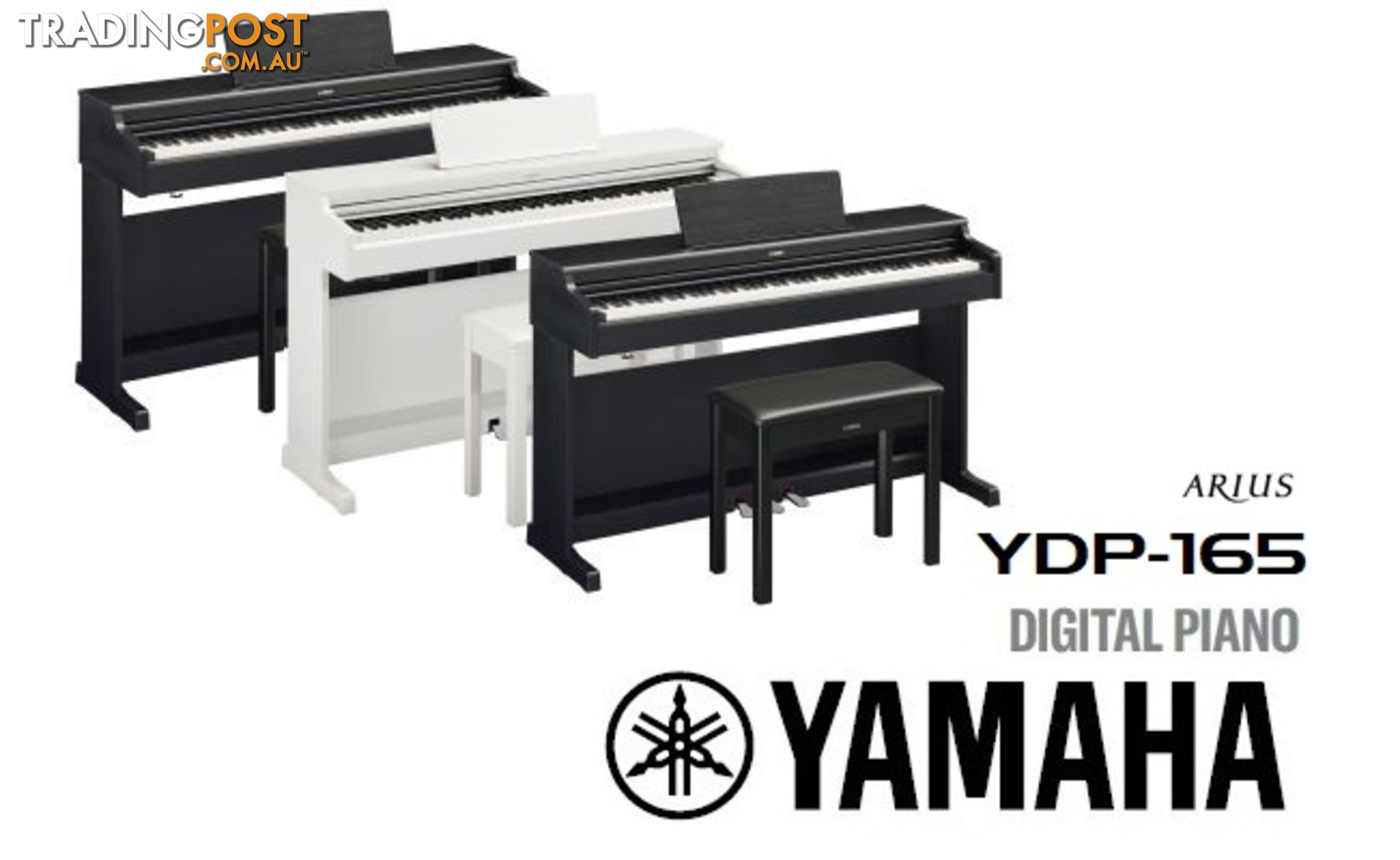 Yamaha Arius Digital Piano YDP165  White