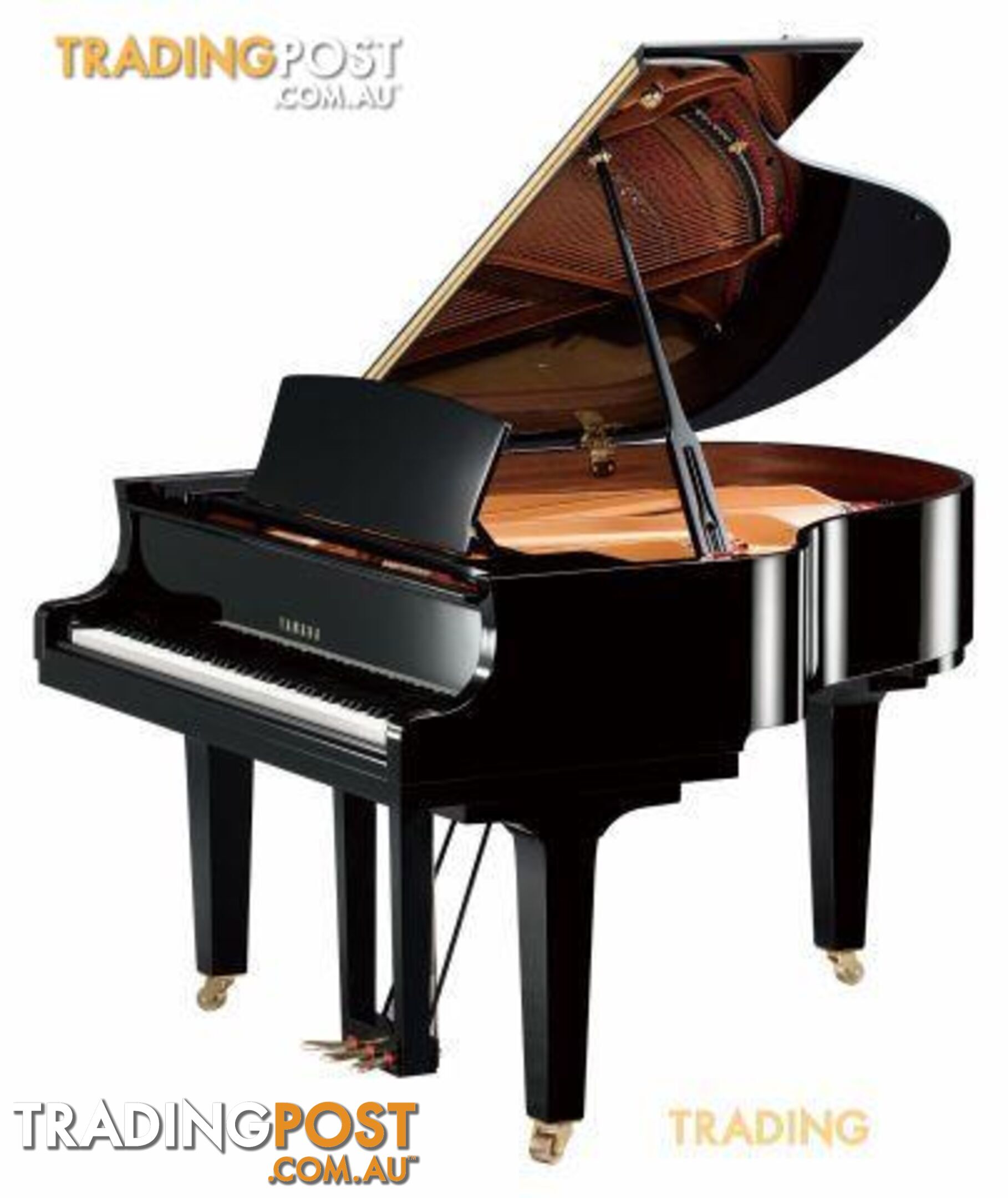 Yamaha  C1  Grand Piano CX Series 