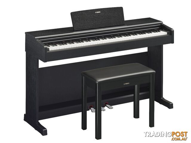 Yamaha Arius Digital Piano YDP145 Black Walnut