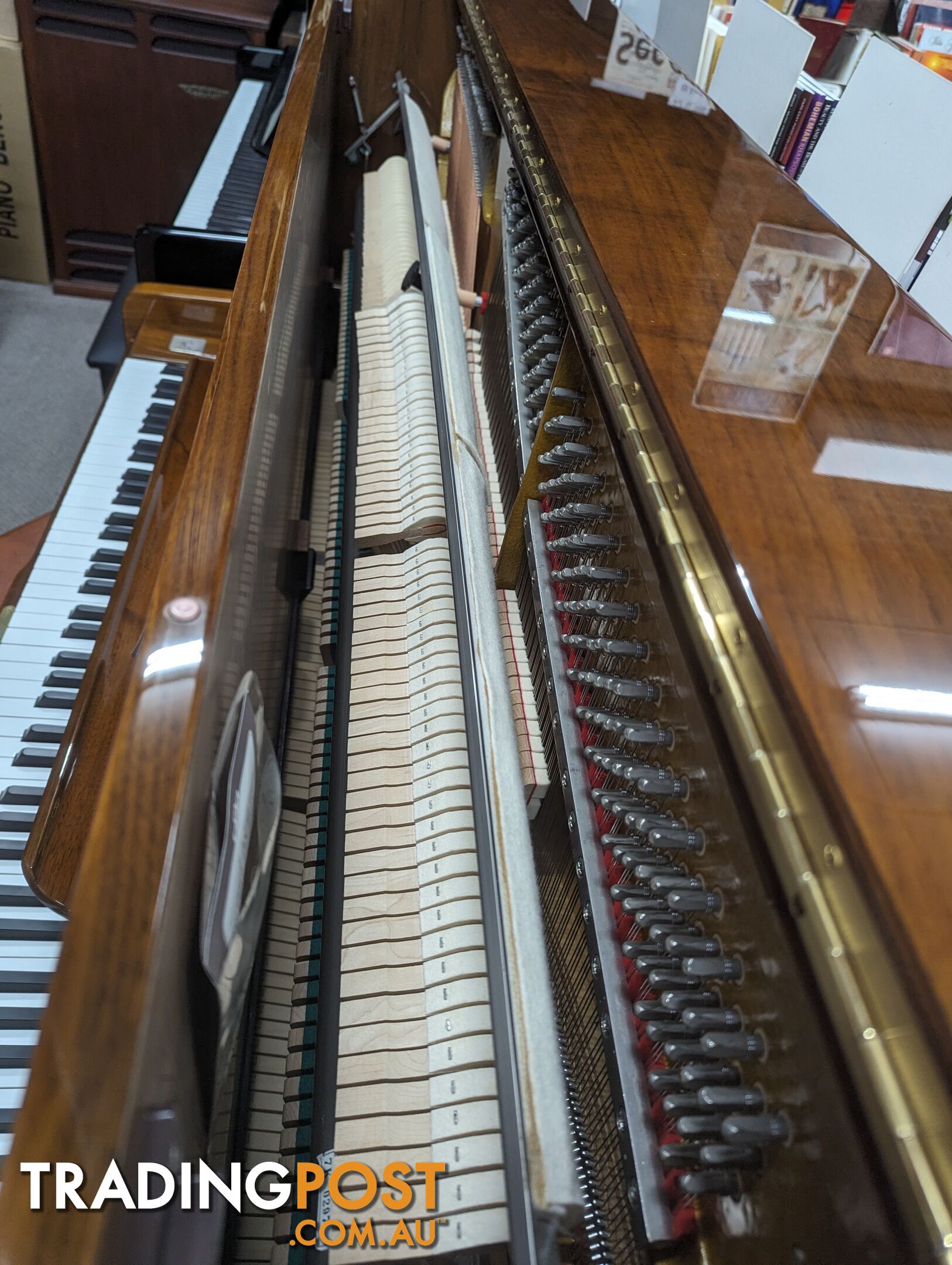 Alex Steinbach Professional,127cm Upright Piano in Walnut Polished ( 1998 Ser No #ISD00574)