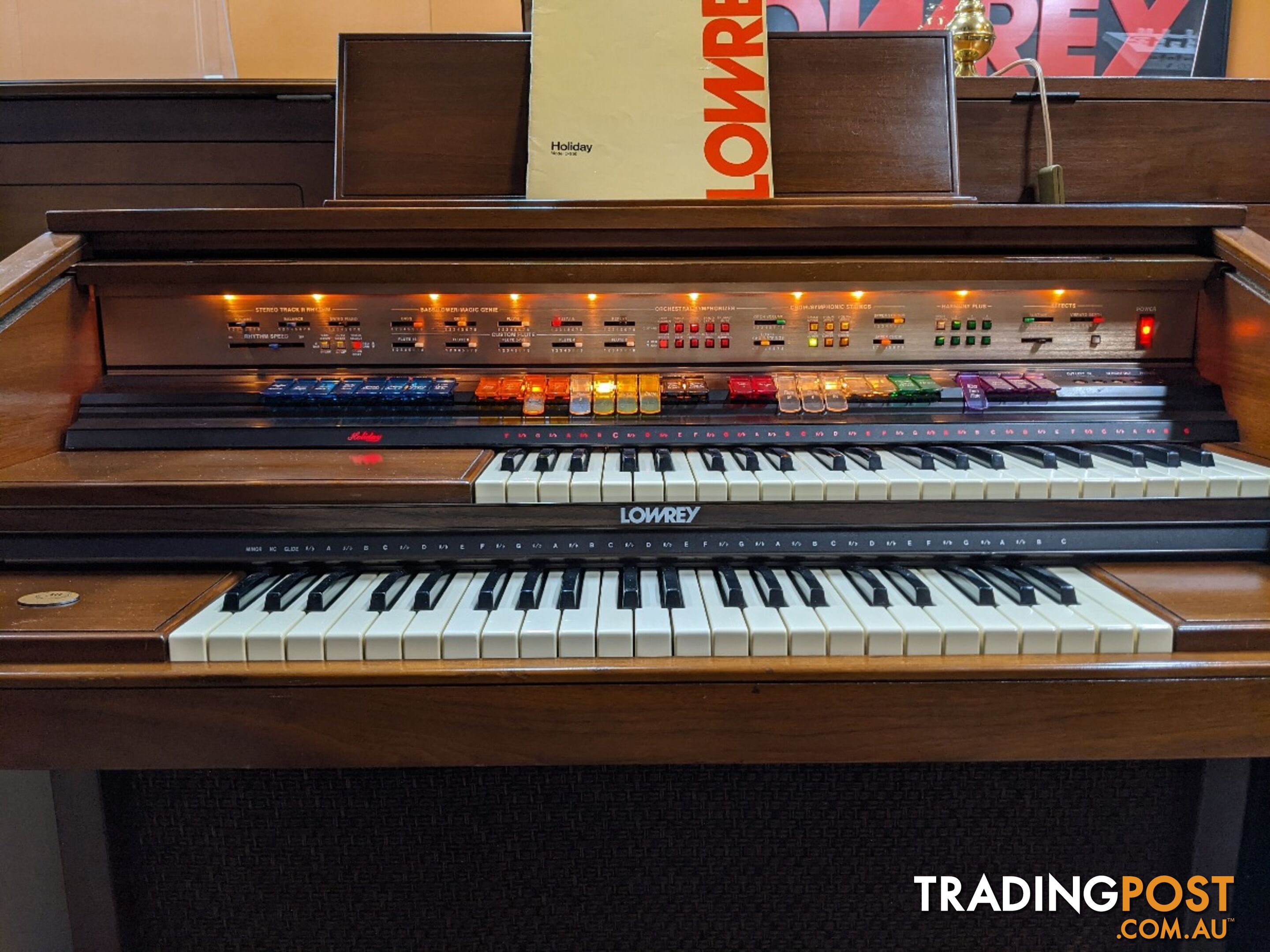 Lowrey Holiday D350 Organ