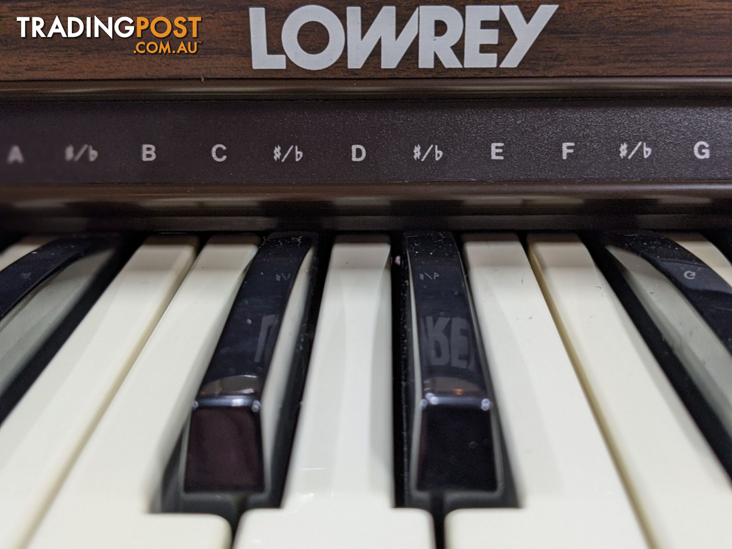 Lowrey Holiday D350 Organ