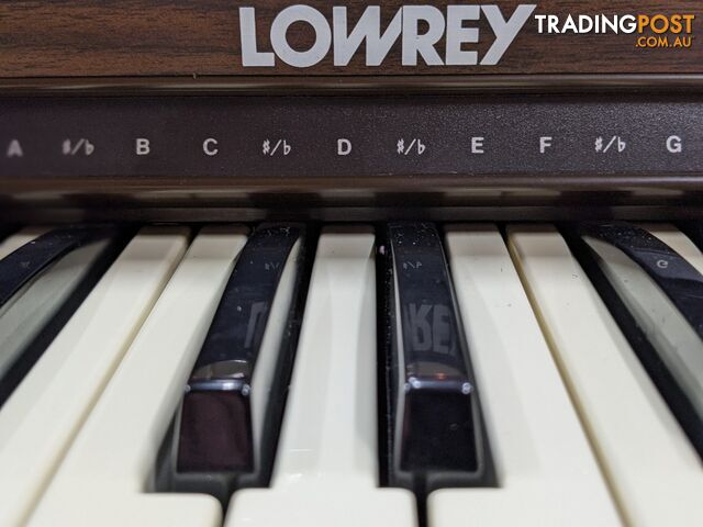 Lowrey Holiday D350 Organ