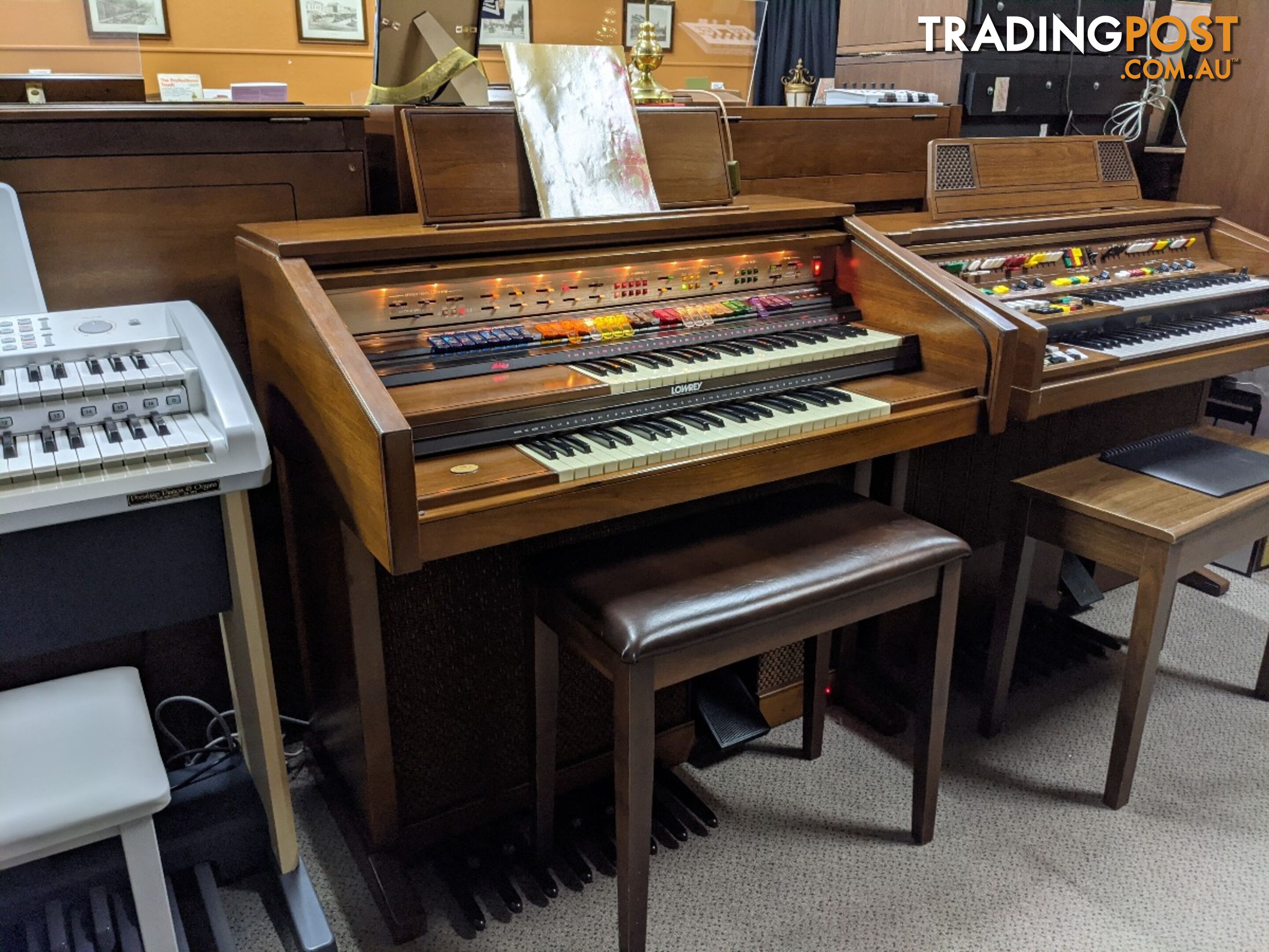 Lowrey Holiday D350 Organ