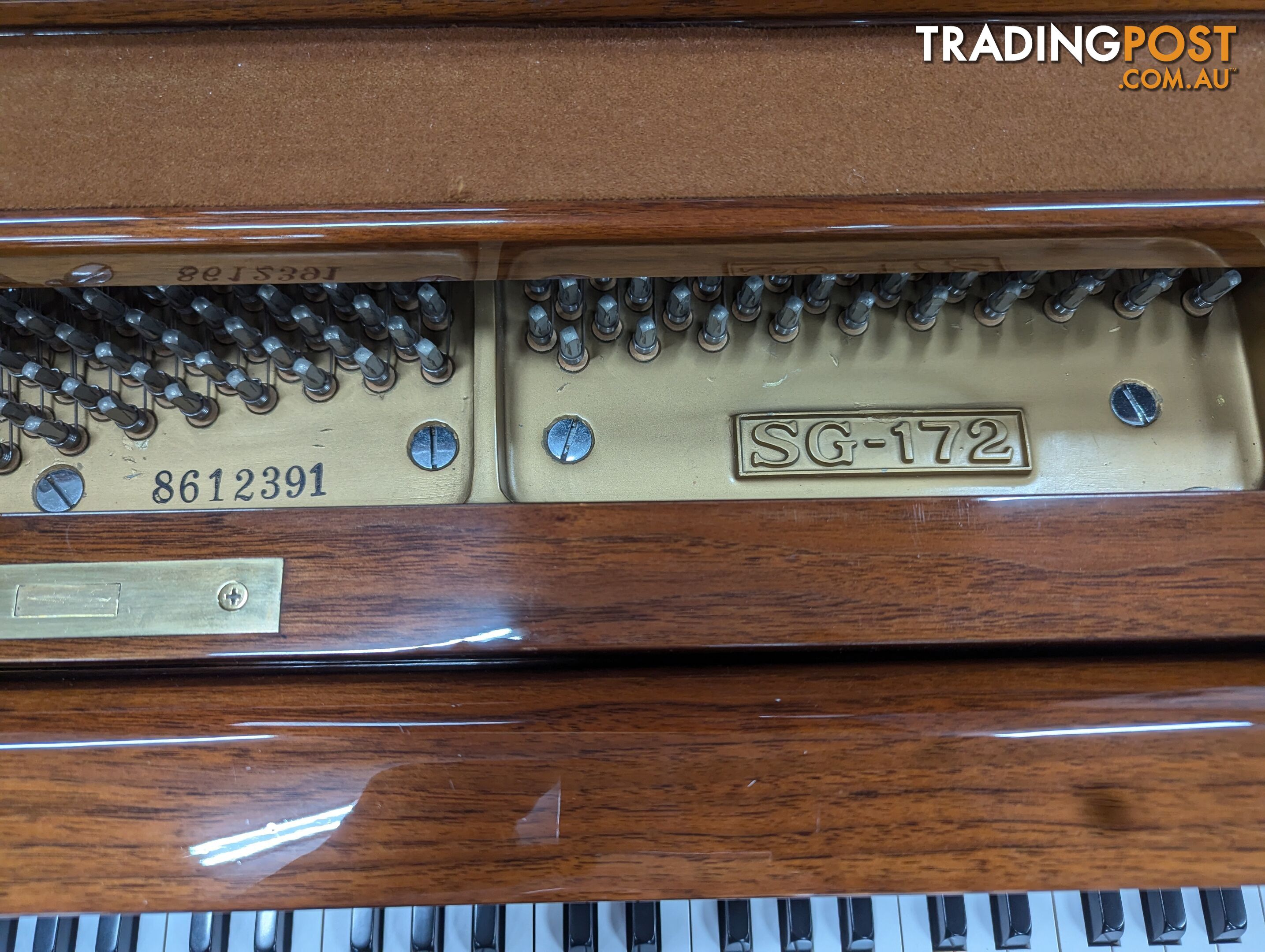 Albert E Fox  SG172 Grand Piano Walnut Polished