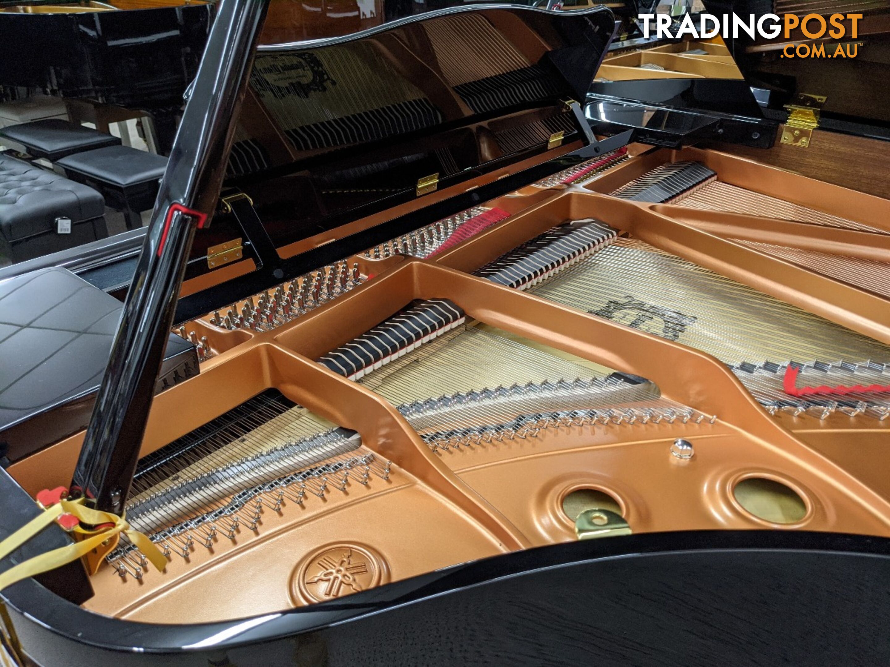 Yamaha Disklavier Grand Piano on GB1 ( DGB1K ENST )