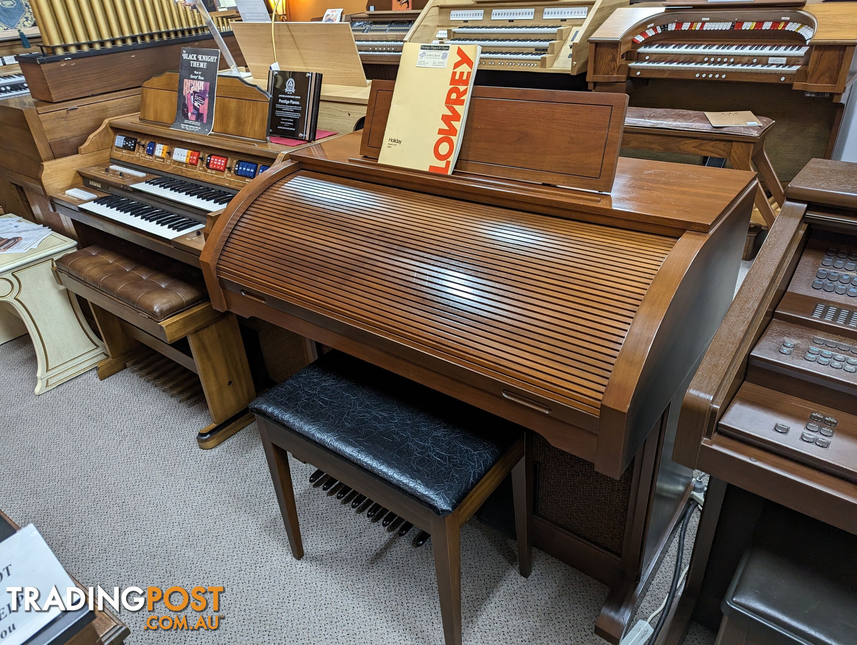 Lowrey Organ ~ Holiday D325