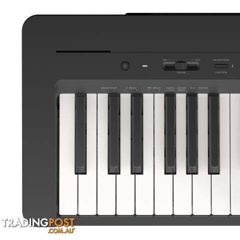 P145BTB Yamaha 88-note entry-level portable digital piano - photo 2 of 8