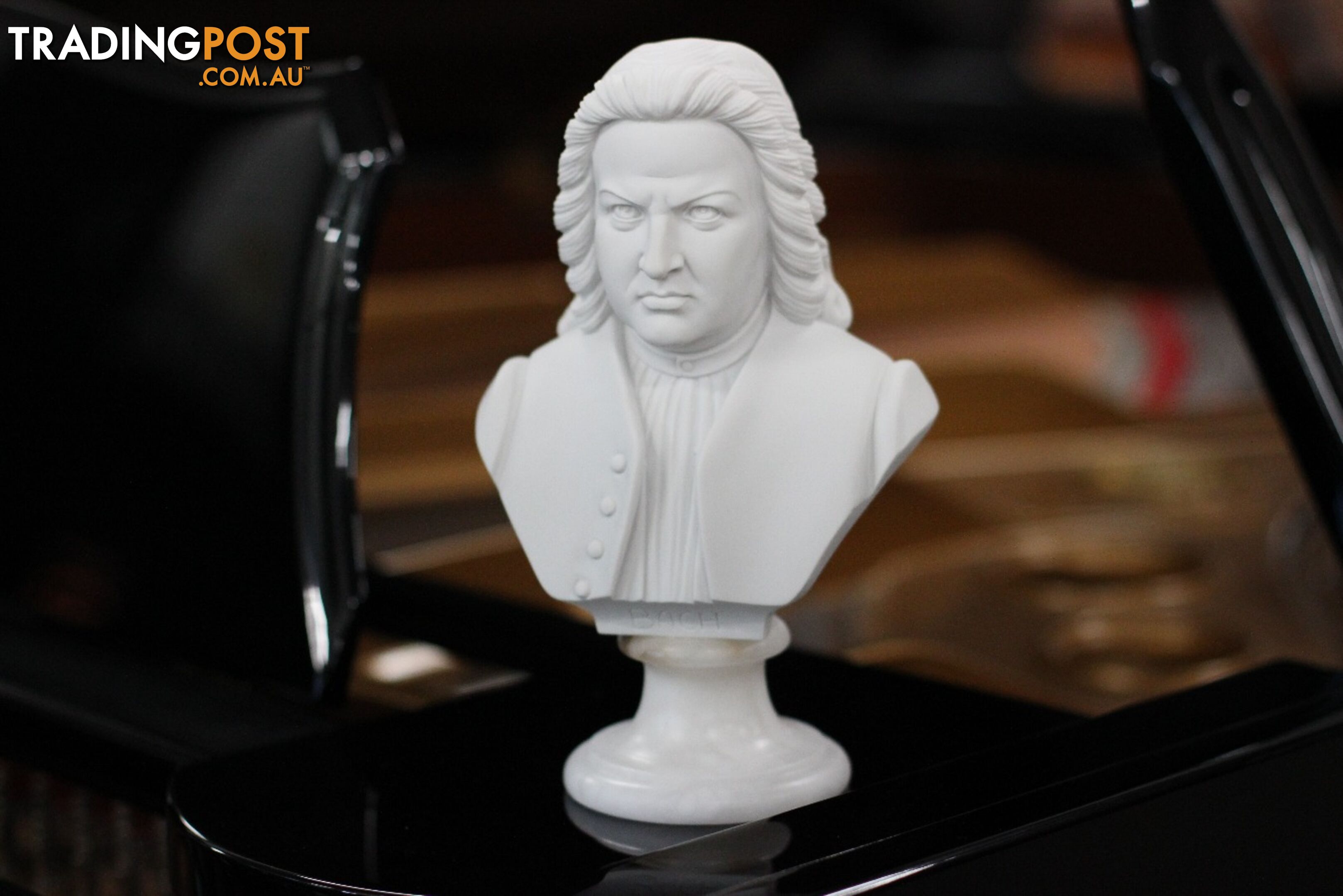 Bach Bust - 22cm