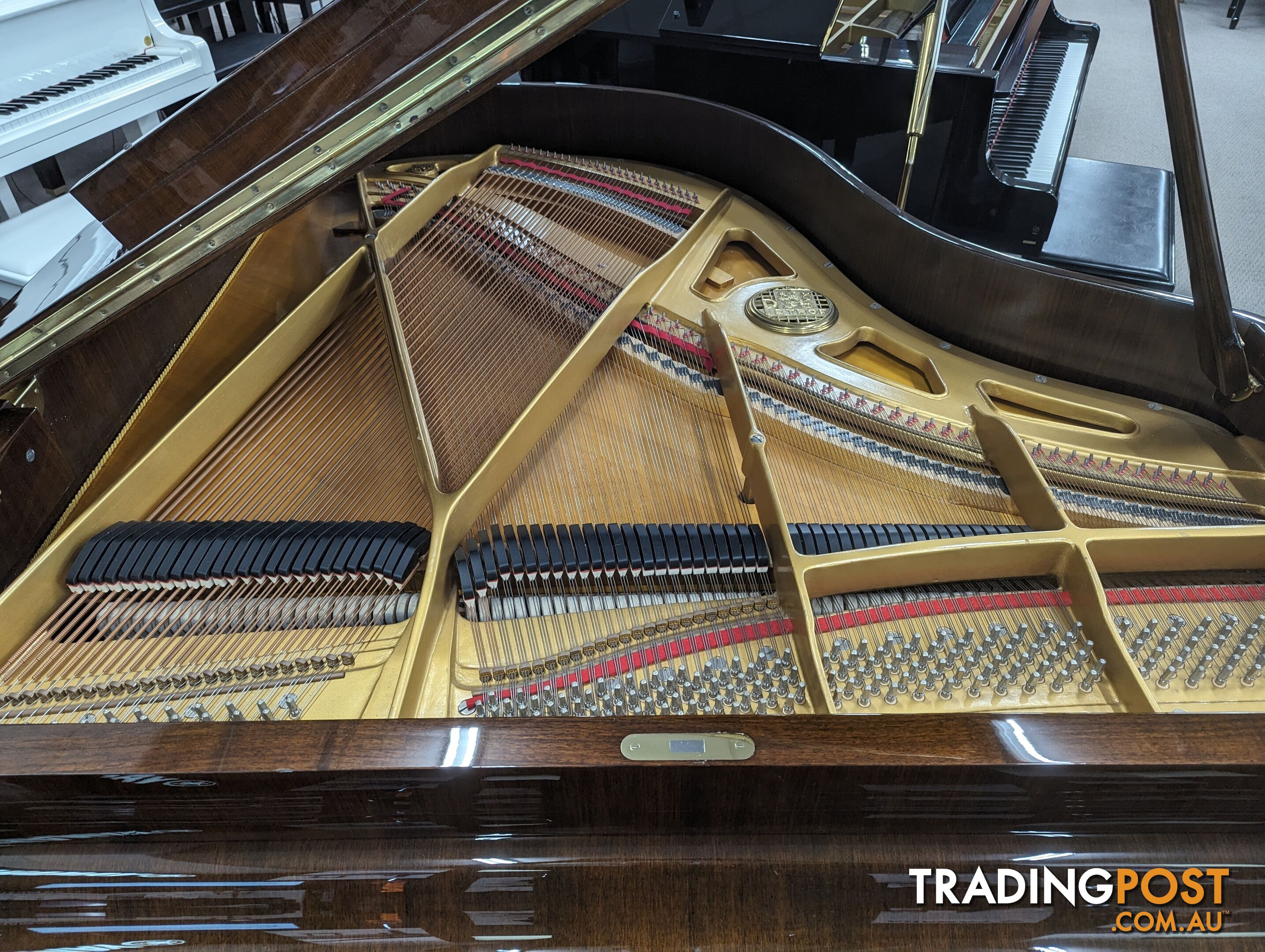 Petrof Model IV 172cm Grand Piano Walnut Polished 1978